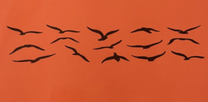 Scopri di più sull'articolo “I miei 50 anni dopo il…”, il bellissimo libro di Maria Luisa Balducci