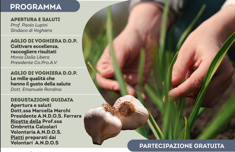 Al momento stai visualizzando 11 Dicembre – Seminario informativo e degustazione: alla scoperta dell’Aglio di Voghiera D.O.P
